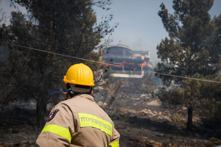 Ε. Λέκκας για τη φωτια στη Βούλα: Τα σπίτια που κάηκαν είχαν εναγκαλισμό με κλαδια δέντρων – Τι πρέπει να αλλάξει (video)