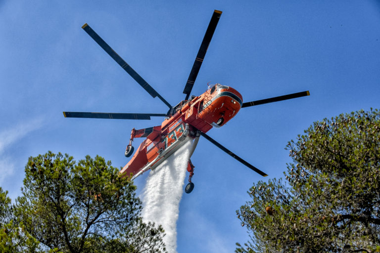 Πυρκαγιά σε δασική έκταση στις Μέσες Θέρμες Ξάνθης