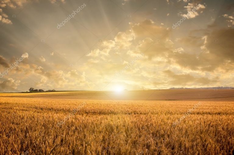 «Σήμα κινδύνου» από τους αγρότες της Ηπείρου