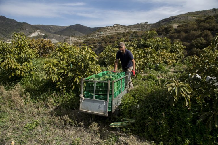 Ευρωπαϊκό Ελεγκτικό Συνέδριο: Οι επενδύσεις αγροτικής ανάπτυξης συχνά δεν αντέχουν στον χρόνο