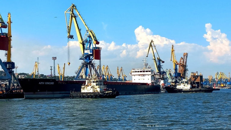Μαριούπολη: Τουρκικό εμπορικό πλοίο απέπλευσε μετά από συνομιλίες για τα δημητριακά στη Ρωσία