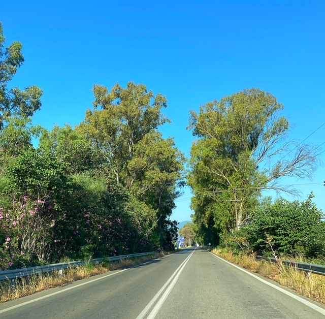 Σύσκεψη στο Μέγαρο Μαξίμου για τον οδικό άξονα  Πύργος – Καλό Νερό – Τσακώνα