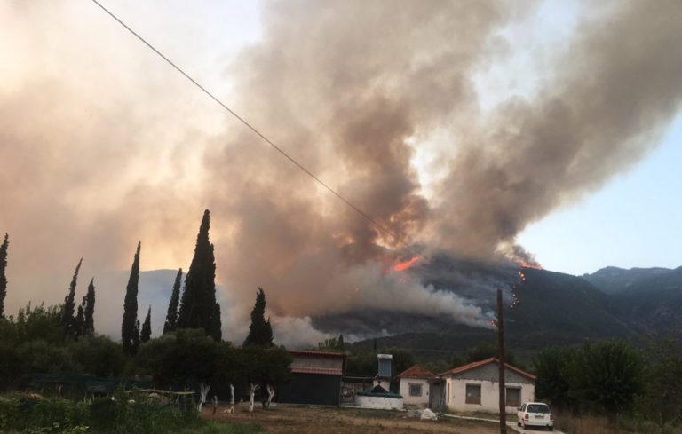 Περ. Πελοποννήσου: Πρόταση για έργα 26 εκ. ευρώ σε πυρόπληκτες περιοχές της Μεσσηνίας, Αρκαδίας και της Λακωνίας