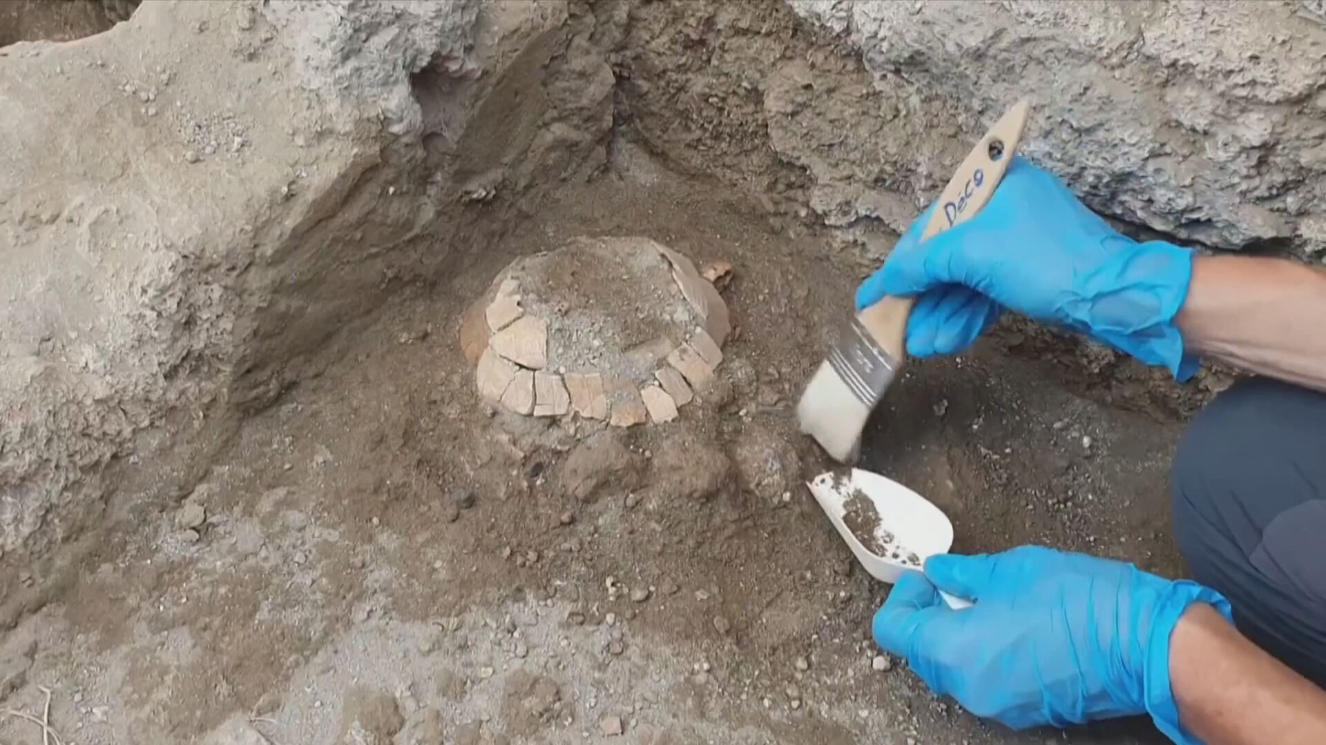 Χελώνα 2000 ετών βρέθηκε στις ανασκαφές της Πομπηίας (video)