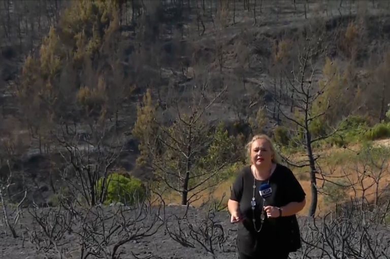 Φωτιά στην Εύβοια: Σε επιφυλακή οι πυροσβεστικές δυνάμεις για διάσπαρτες εστίες