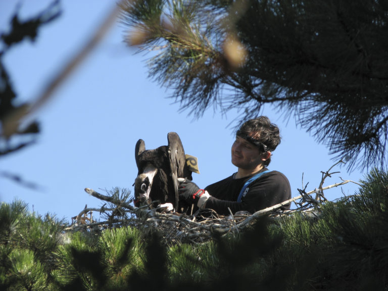 WWF Ελλάς: 30 χρόνια στη Δαδιά – Προστατεύοντας σημαντικούς οικοτόπους και είδη στην περιοχή της Θράκης