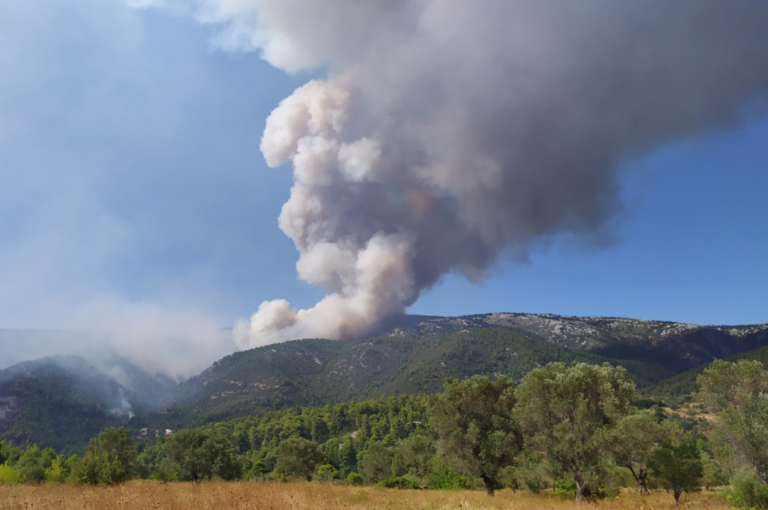 Πάρος – Πυρκαγιά: Υπό έλεγχο οι εστίες στον Μώλο