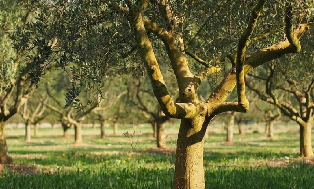 ΥΠΟΙΚ: «’Εκλεισαν πέντε υποθέσεις ανάκτησης κρατικών ενισχύσεων – Αφορούν αγρότες και επιχειρήσεις