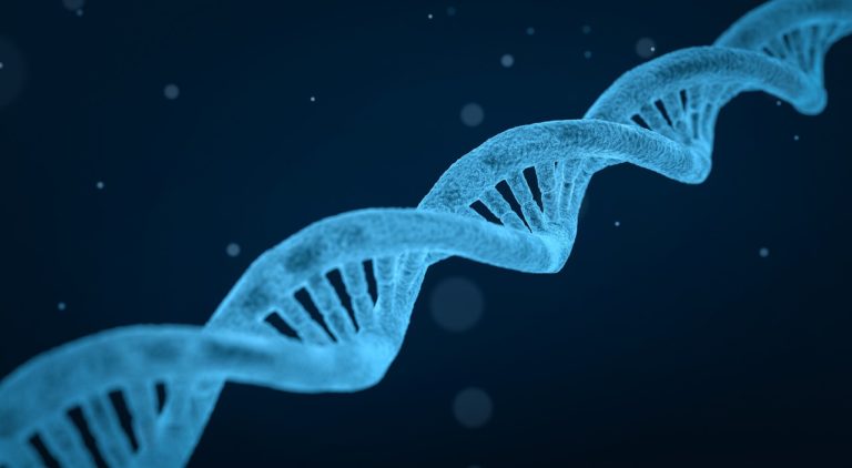 Prime editing: Η νέα τεχνολογία γενετικής επεξεργασίας είναι ήδη εδώ