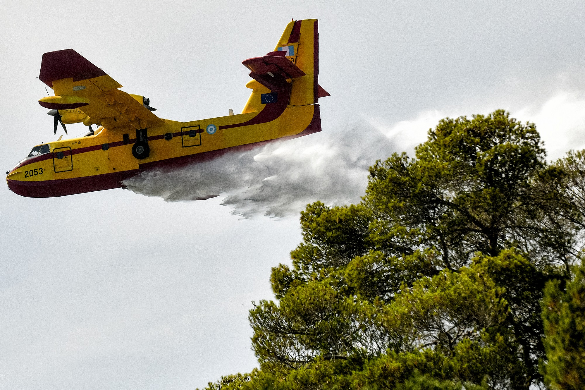 Πυρκαγιά σε δασική έκταση στη Βουνιχώρα Φωκίδας – Άμεση κινητοποίηση επίγειων και εναέριων δυνάμεων