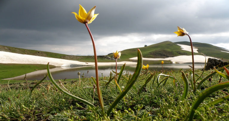 Οικονομική ενίσχυση των 7 ελληνικών γεωπάρκων της UNESCO
