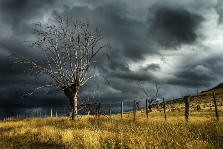 Ο καιρός με τον Παναγιώτη Γιαννόπουλο: Με πολλές καταιγίδες στα ηπειρωτικά όλη η εβδομάδα