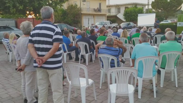 Η Οργάνωση στην ελαιοπαραγωγή