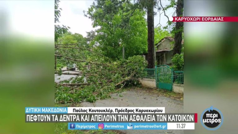  Εορδαία: Αντίδραση Κασαπίδη για τα επικίνδυνα δέντρα στο Καρυοχώρι μετά το ρεπορτάζ της ΕΡΤ