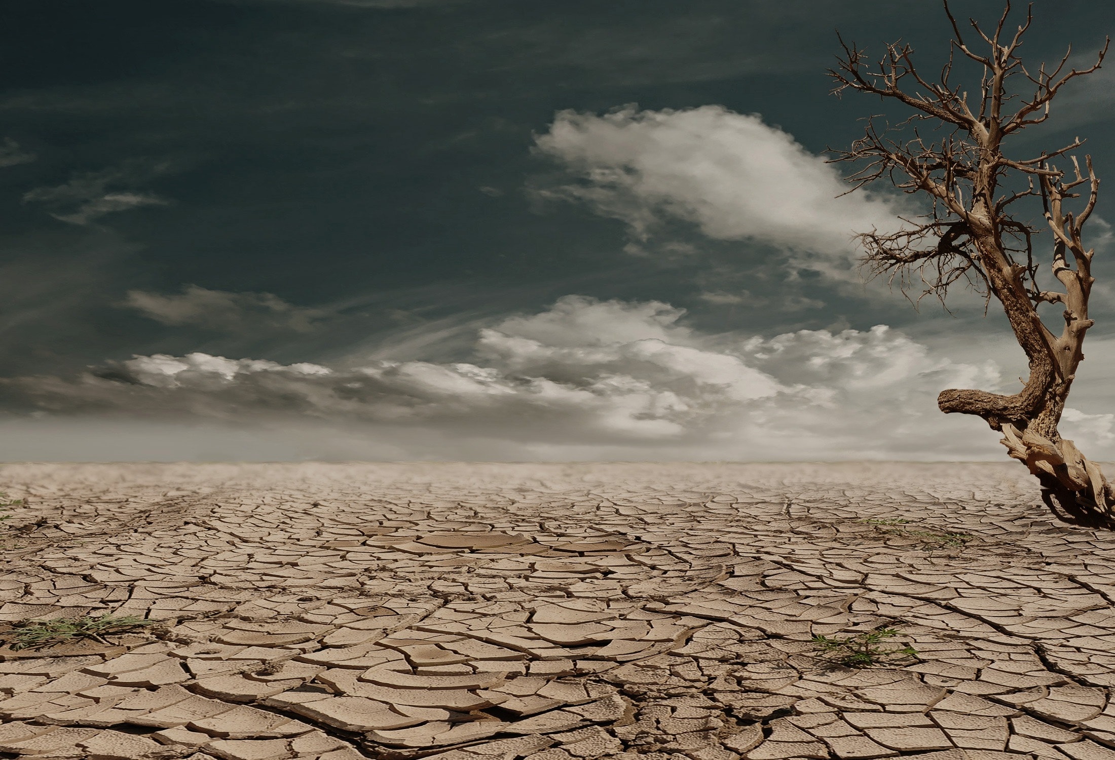 Αντόνιο Γκουτέρες: Μέχρι τα μέσα του αιώνα, τα τρία τέταρτα των ανθρώπων μπορεί να ζουν με ξηρασία