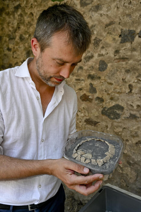 Πομπηία: Ήρθε στο φως χελώνα με το αυγό της σε ανασκαφή