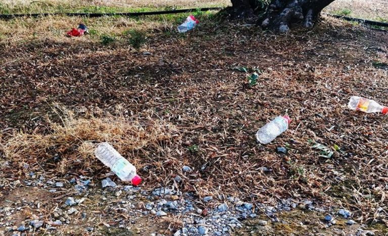 Φλώρινα: Επιστολή μαθήτριας Δημοτικού Σχολείου Αετού για σκουπίδια στα πάρκα και τις πλατείες