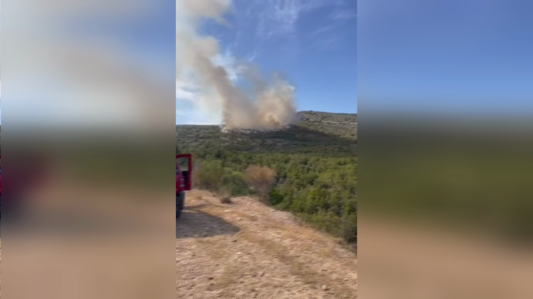 Βίντεο – ντοκουμέντο ΕΡΤ από τη δεύτερη εστία της πυρκαγιάς στη Γλυφάδα