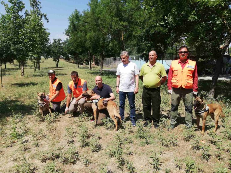 Εκπαιδευμένοι σκύλοι στην ανίχνευση δολωμάτων σε Όλυμπο και Κάρλα