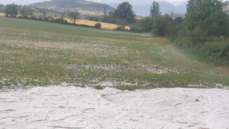 Μεγάλες ζημιές από χαλάζι σε χωριά της Ελασσόνας