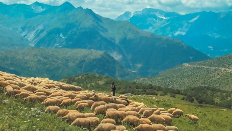 Γ. Γεωργαντάς: Νέο πακέτο στήριξης για τους κτηνοτρόφους – Επίκαιρη ερώτηση από τον Ανδρέα Πουλά