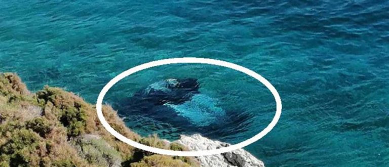 Κάλυμνος: Νεκρός ανασύρθηκε οδηγός ΙΧ που έπεσε στην θάλασσα