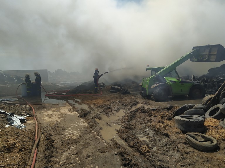 Ροδόπη: Σώθηκε η κτηνοτροφική μονάδα στο Παλλάδιο – Πολύωρη μάχη με τις φλόγες έδωσαν οι πυροσβέστες