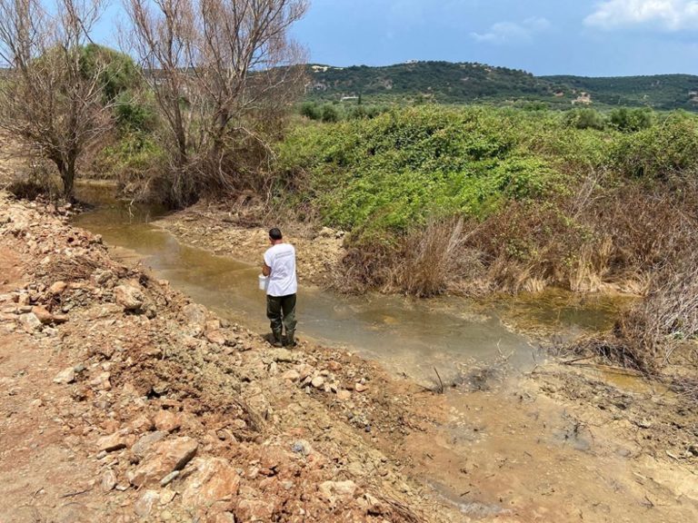 Ολοκληρωμένο σχέδιο καταπολέμησης των κουνουπιών στην Περιφέρεια Πελοποννήσου