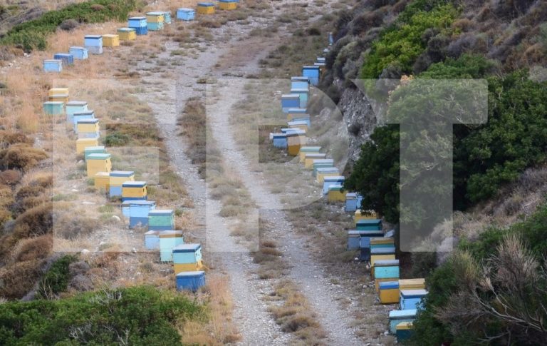 Π. Χριστοδούλου: “Σημείο αναφοράς για τον Έβρο το πρώτο μελισσοκομικό πάρκο στο Σουφλί”