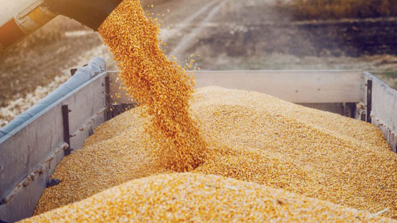 Ουκρανία: «Ενδέχεται» να υπογραφεί με τη Ρωσία ένα έγγραφο για τις εξαγωγές σιτηρών