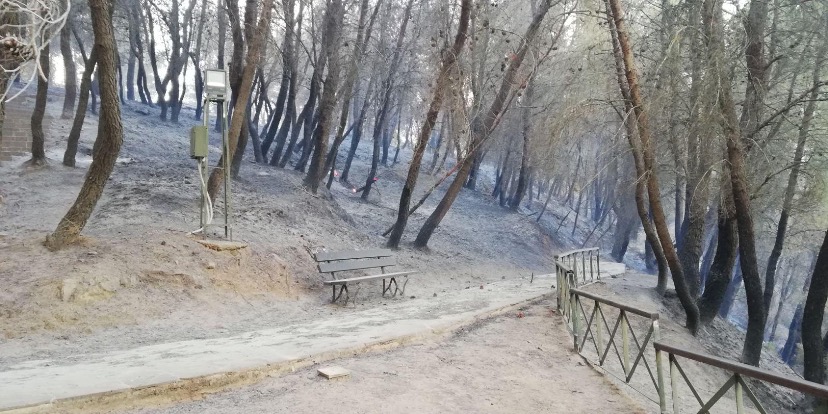 Υπουργείο Πολιτισμού: Χωρίς φθορές από τη φωτιά το μυκηναϊκό νεκροταφείο στις Πόρτες Αχαΐας