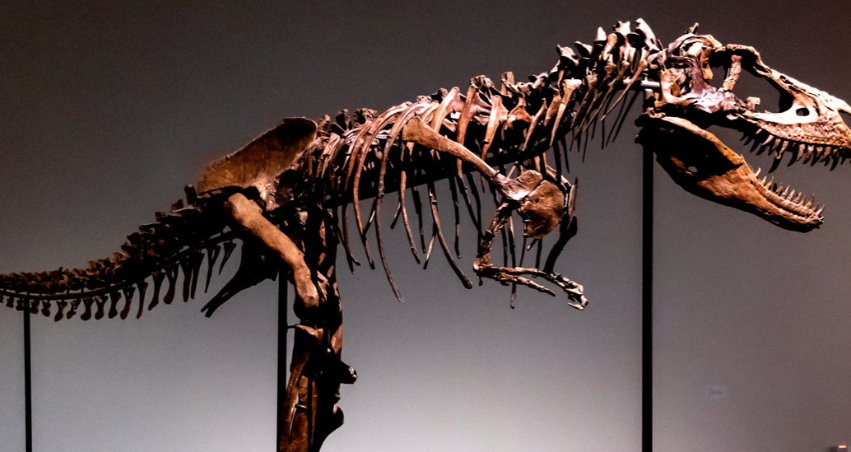 Σκελετός δεινόσαυρου πουλήθηκε 6,1 εκατ. δολάρια σε δημοπρασία στις ΗΠΑ