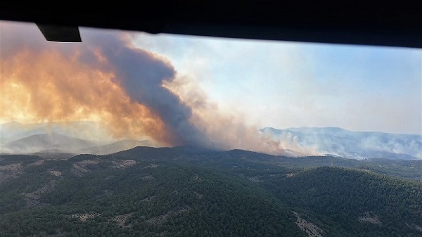 Ανακοίνωση για την καταστροφική πυρκαγιά στην Δαδιά. εξέδωσε  η παράταξη Ανεξάρτητη Ενωτική Πρωτοβουλία