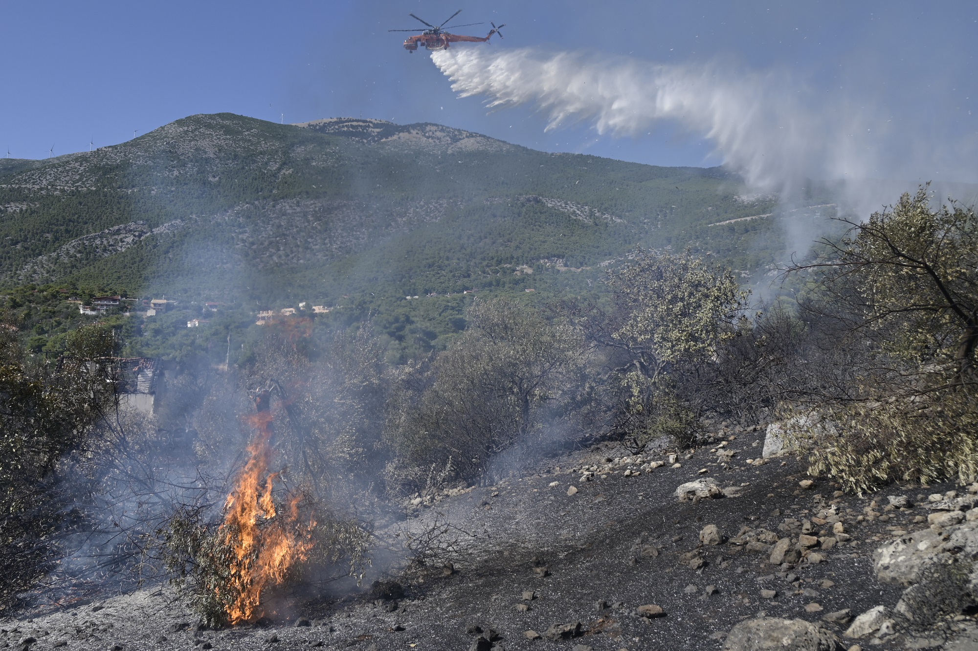 Φωτιά στο Πόρτο Γερμενό: Προσαγωγή υπόπτου για εμπρησμό – Έρευνα για τυχόν εμπλοκή του στην πυρκαγιά
