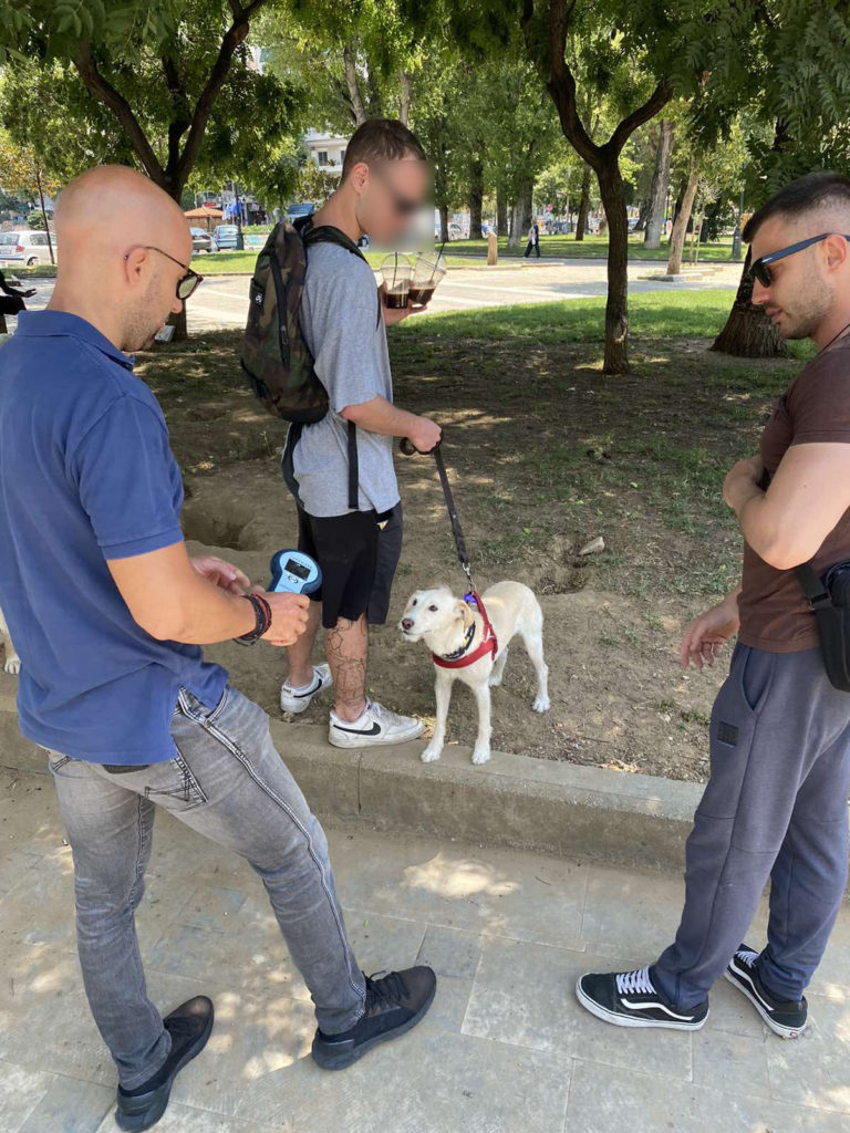 Θεσσαλονίκη: Έλεγχος δεσποζόμενων ζώων συντροφιάς από την Ελληνική Αστυνομία