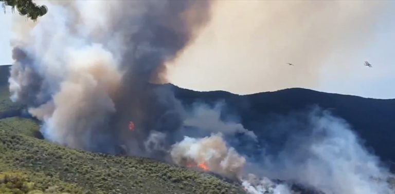 Πυρκαγιά στο Πόρτο Γερμενό: Εντολή για εκκένωση του οικισμού Μύτικα – Πού έχουν κλείσει οι δρόμοι