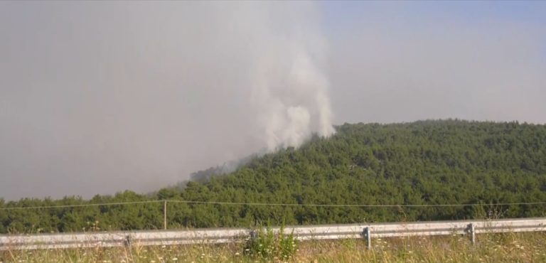 Ισχυρές πυροσβεστικές δυνάμεις για την πυρκαγιά στο δάσος της Δαδιάς Έβρου – Χωρίς ηλεκτροδότηση το χωριό (video)