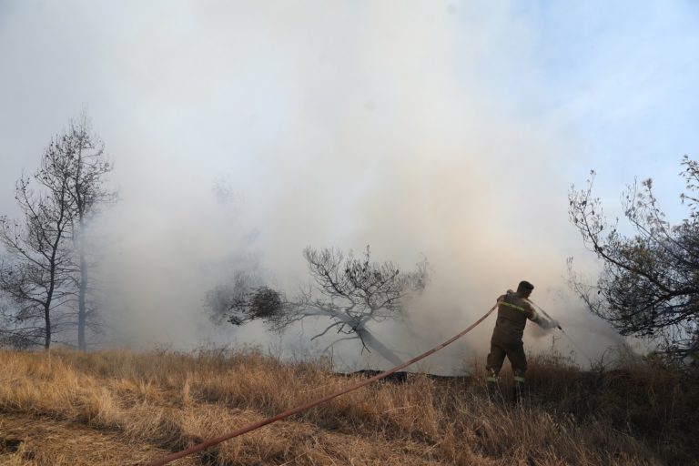 Υπό μερικό έλεγχο η φωτιά στην Ηλεία