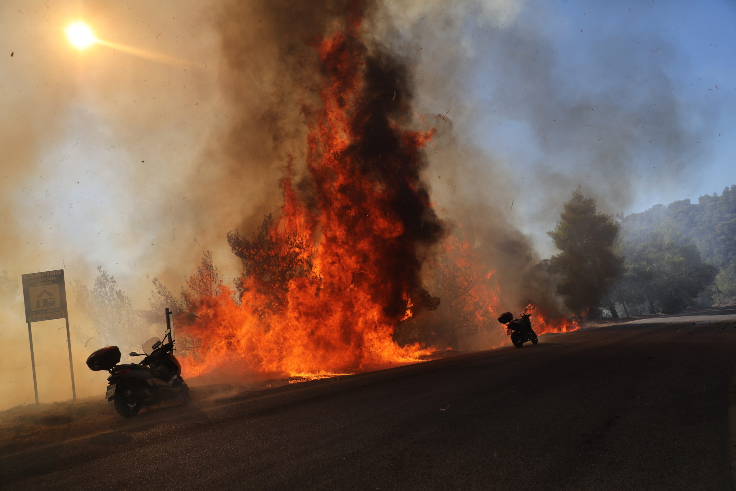 Φθιώτιδα: Φωτιά σε δασική έκταση στην περιοχή Πετρωτού