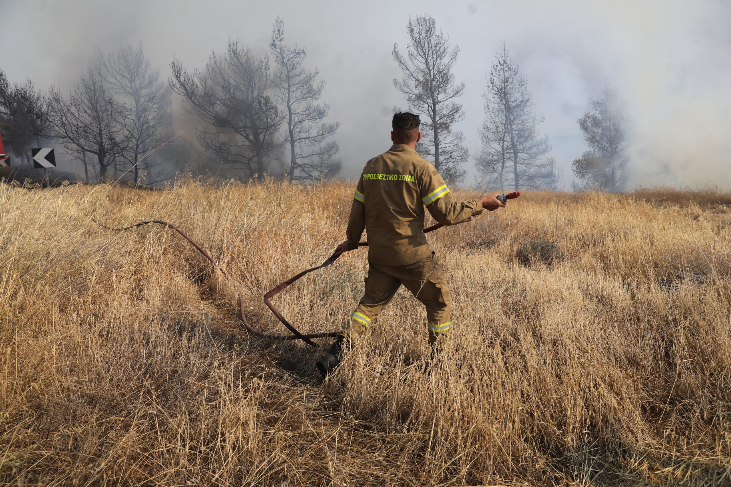 Υπό έλεγχο οι φωτιές στην Ηλεία – Οριοθετημένη η πυρκαγιά στην Κορινθία