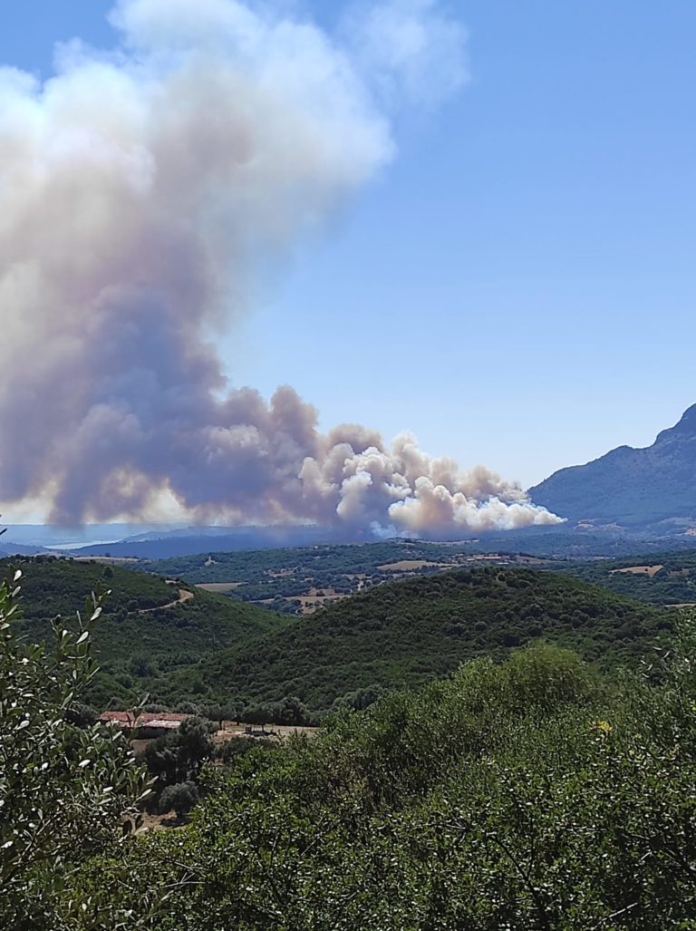 Αναζωπύρωση της φωτιάς στη Βάλμη Ηλείας