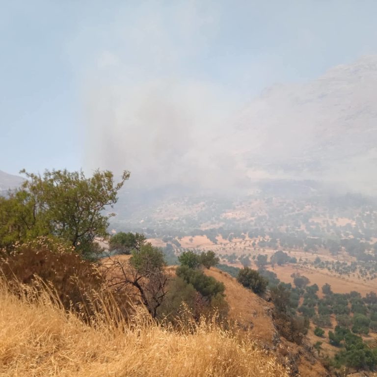 Ρέθυμνο: Σε εξέλιξη μεγάλη πυρκαγιά στον Δήμο Αγ. Βασιλείου – Απομάκρυνση ευπαθών ομάδων από τον Ορνέ