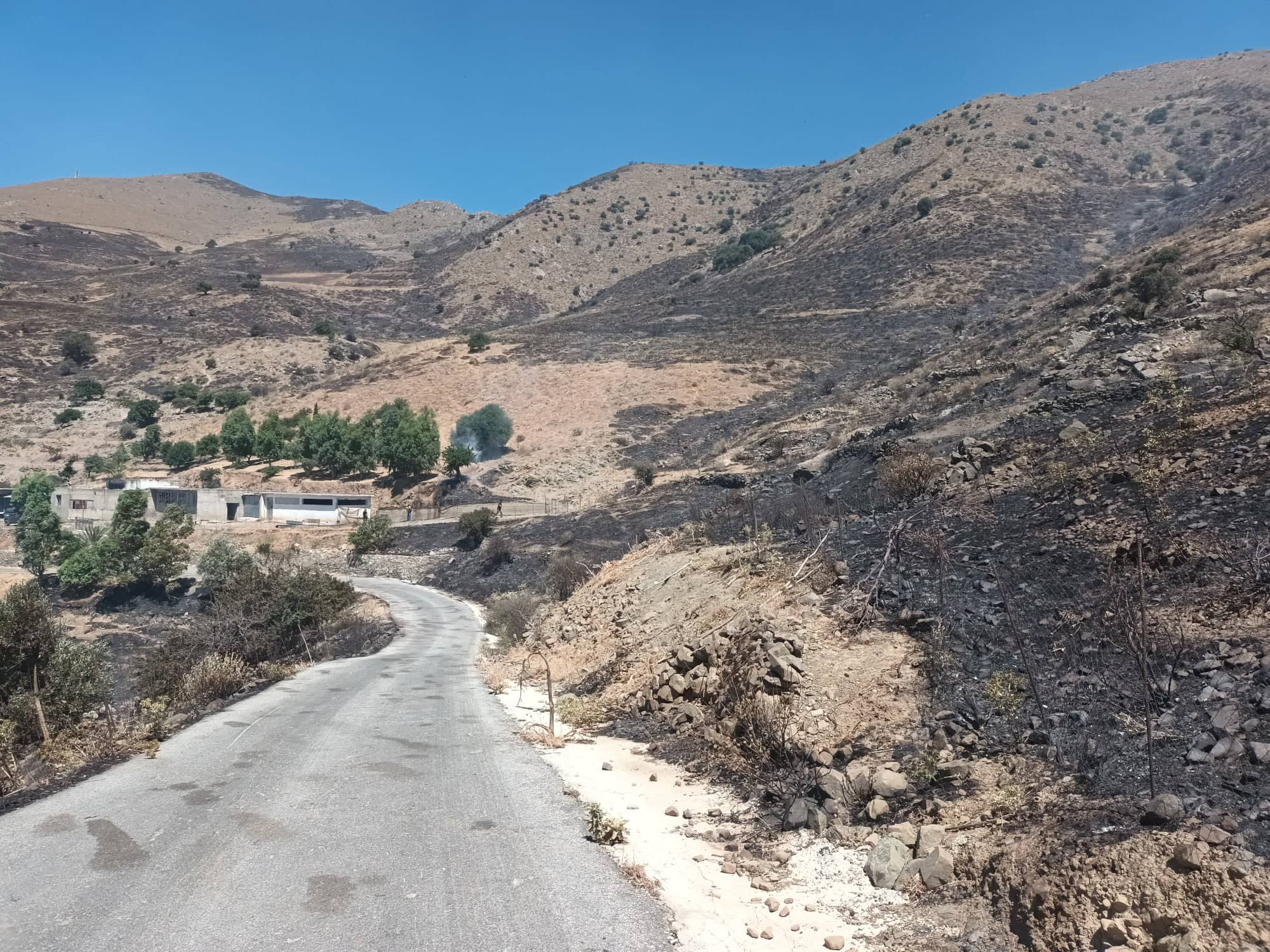 Περιφέρεια Κρήτης: Κάηκαν πάνω από 11.300 τα στρέμματα παραγωγικής γης στο Ρέθυμνο