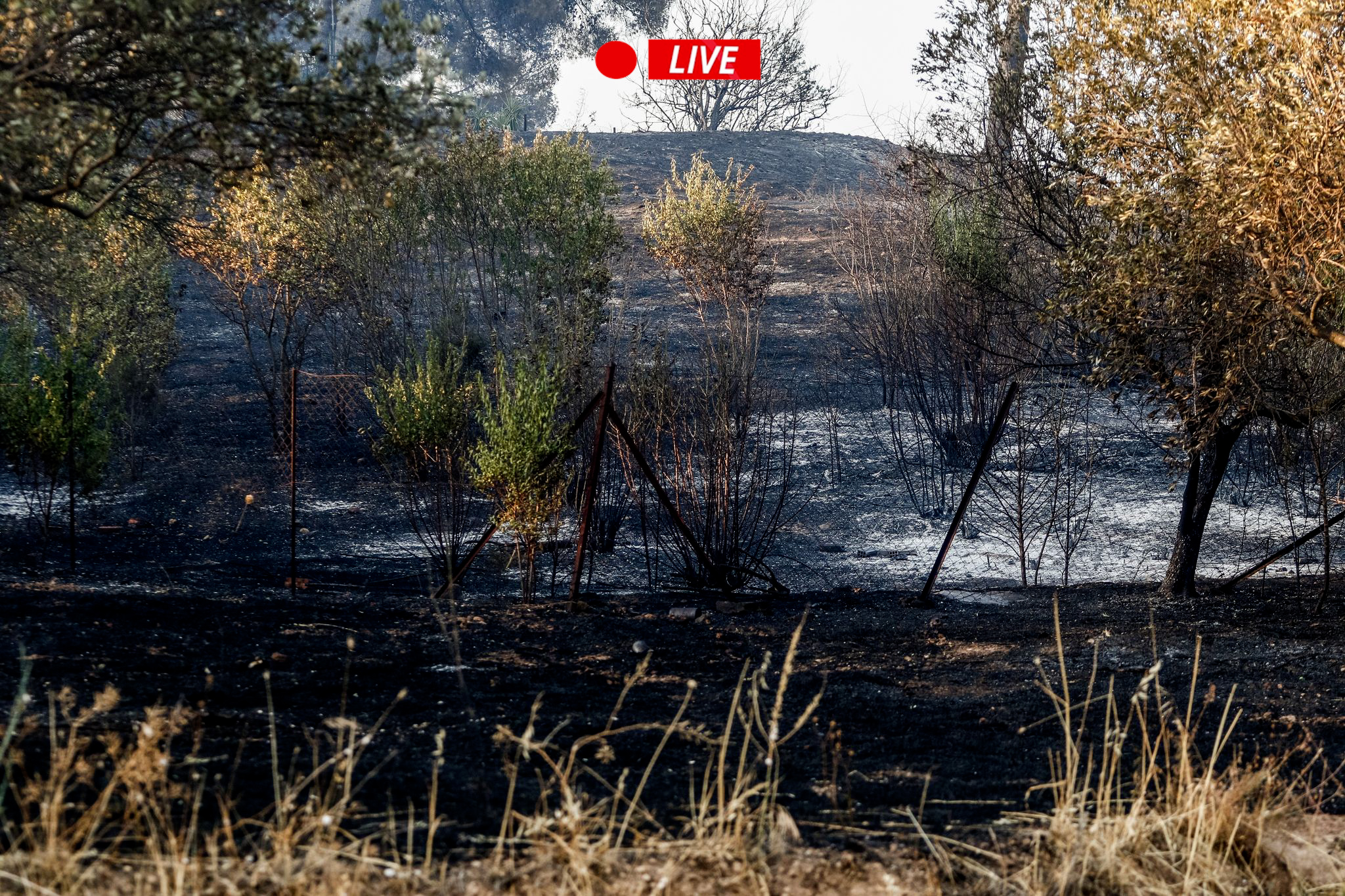 Καλύτερη η εικόνα στα Μέγαρα – Σε ολονύχτιο συναγερμό η Πυροσβεστική