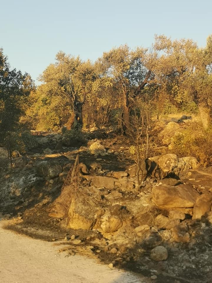 Υπό πλήρη έλεγχο η φωτιά στη Νυφίδα της Λέσβου