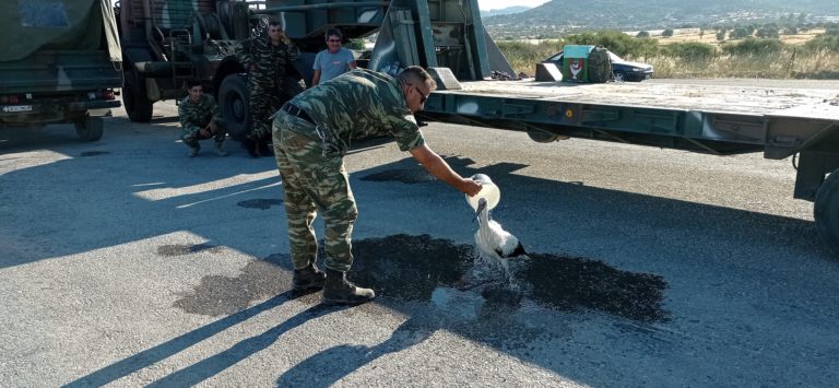 Λέσβος: Στρατιώτες δροσίζουν πελαργό με εγκαύματα στα πόδια από τη φωτιά