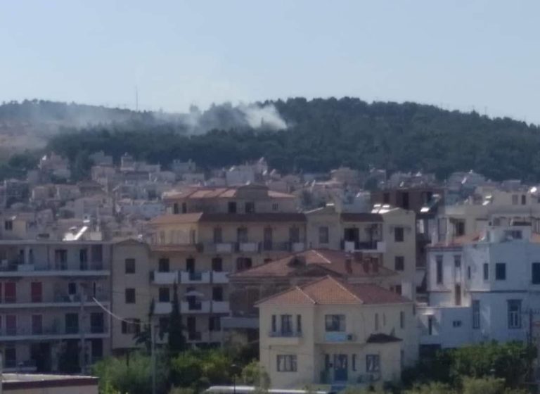 Μυτιλήνη: Σβήστηκε η φωτιά στο άλσος της Αγίας Κυριακής (video)
