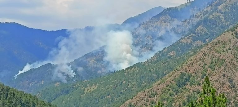 Γρεβενά: Συνεχίζει να καίει η φωτιά στη Βάλια Κάλντα (video)