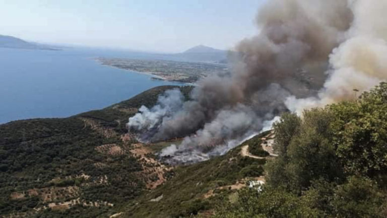Δελμούζος (Αντιπεριφερειάρχης Φωκίδας): Υπάρχει ύφεση της πυρκαγιάς, δεν κινδυνεύουν κατοικίες