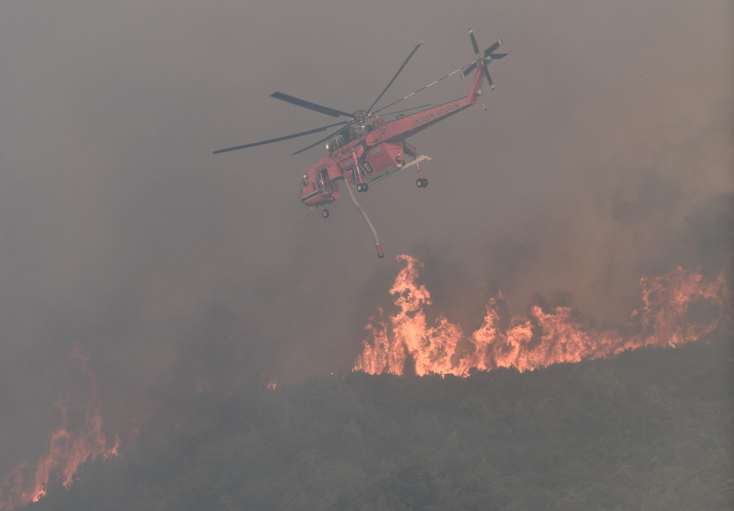 Νέα μεγάλη εστία φωτιάς στον Πύργο Ηλείας – 65 δασικές πυρκαγιές σε όλη τη χώρα